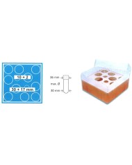 Contenit. h.90/105mm, 10posti d.30 mm, 2posti d.17mm, coperchio trasp.,scatola naturale