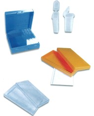 Scatola portavetrini 26x76mm 100 posti in polistirene blu, 172x172x31mm