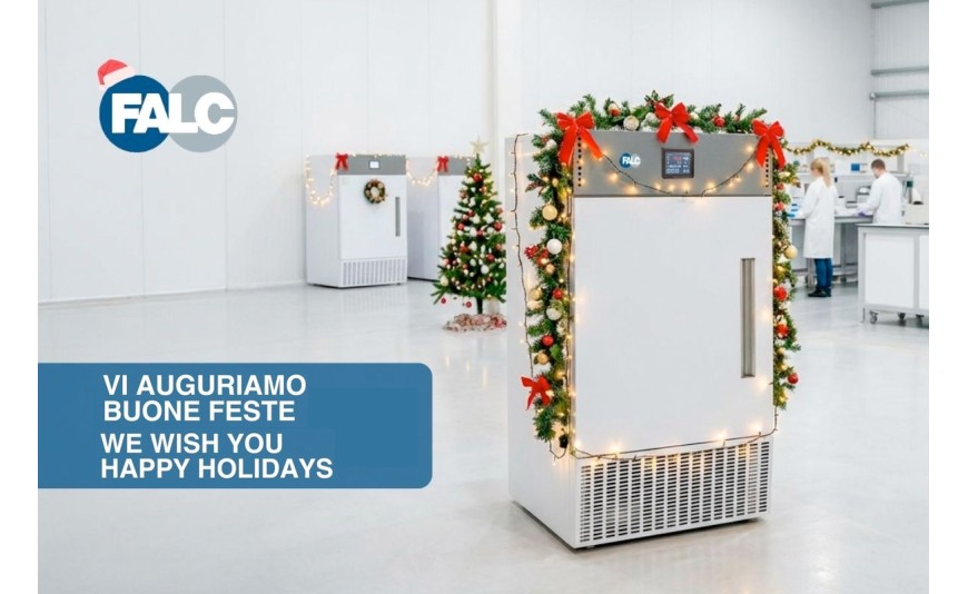 Un Anno di Persone, Storie e Traguardi