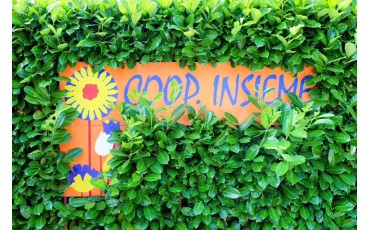 New Collaboration with Cooperativa Sociale Insieme: Bringing Together Solidarity and Innovation